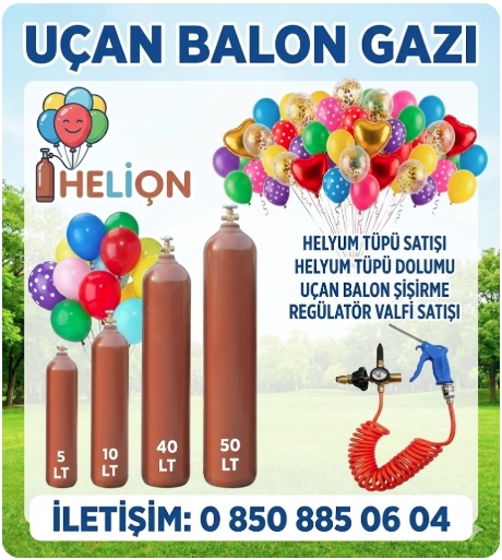 Parti Organizasyonu